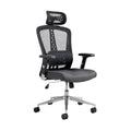 Ergonomic Office Chair with Mesh Back and Adjustable Features