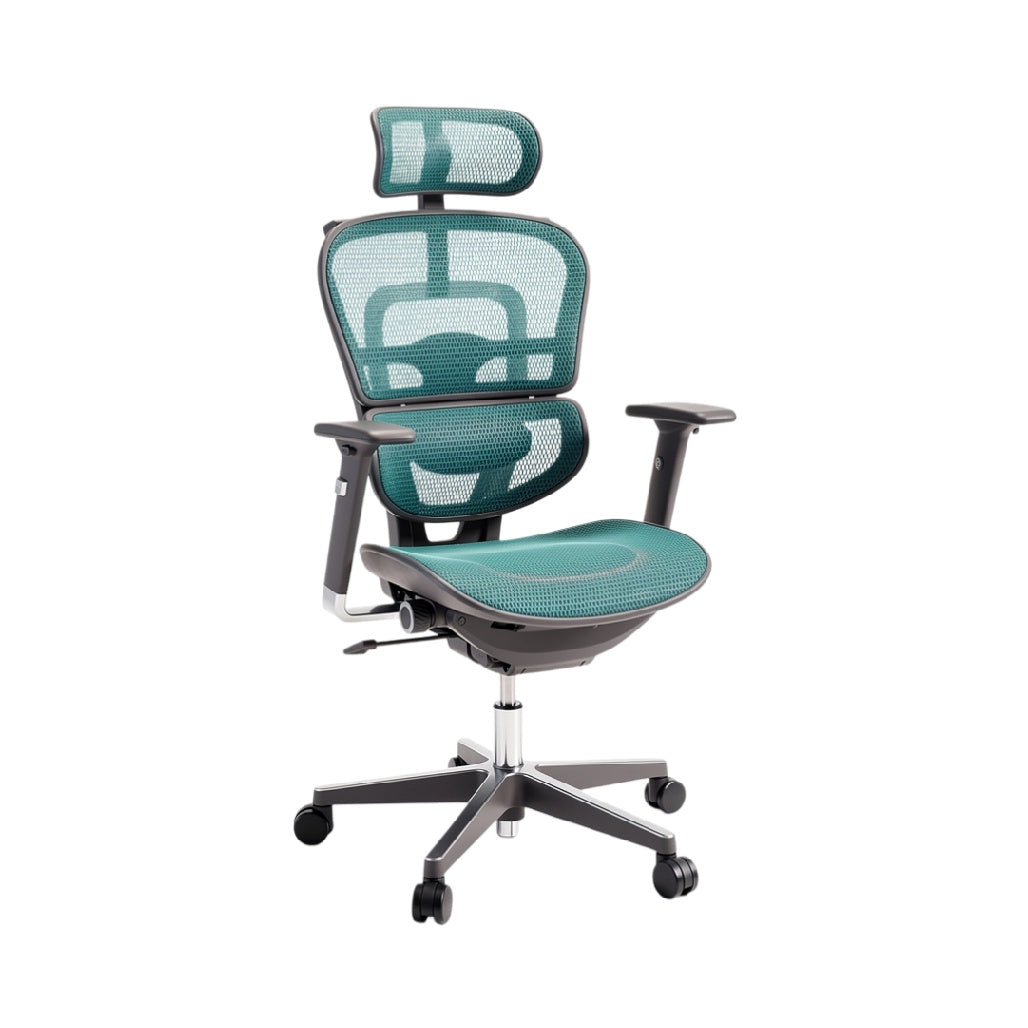 Ergonomic Mesh Office Chair with Adjustable Headrest and Armrests